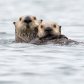 Mother and young one