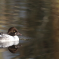 Slow paddler