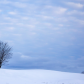 Solitary