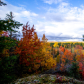 Ridge Lookout