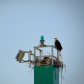 Coastal Guard
