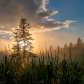 Elliot Lake Sunrise