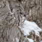 Master of Camouflage