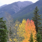 Fall Radiance , Banff National Park