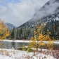 Fall Radiance , Banff National Park