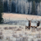 Elk ( wapiti ) in nature at Johnston Canyon, Banff National Park