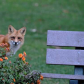 I See You!