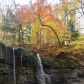Fall colour by a water fall