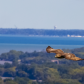 Flying High
