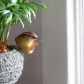 Winged intruder! 