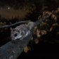Southern flying squirrel
