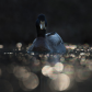 Mallard