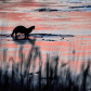 Sunset Silhouette 