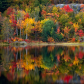 Autumn Colour Palette