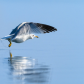 Take Off