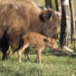 Mother and baby