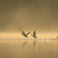 Sunrise Liftoff