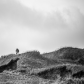 Lone Wolf