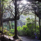 Hidden Forest Trail