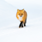 On The Prowl