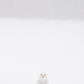 Wall of white