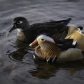 Trevor and partner