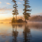 Tree Island in Algonquni