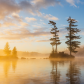 Tree Island Sunrise