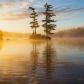Tree Island Sunrise
