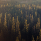 Tonquin Valley Sunrise