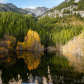 Autumn Reflected