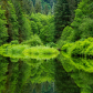 Garden of Eden