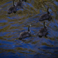 Ripples and Gosling troop