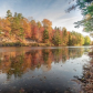 Fall