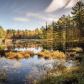 Fall