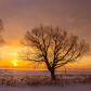 Twins in the sunrise