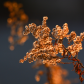 Autumn in Winter