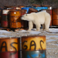 Polar Bear with triplets