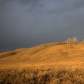 Western Wonders