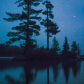 Tree island under the stars