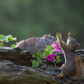 unwanted guest