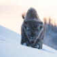 Cold day