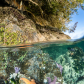 Intertidal Life