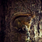 Hide and seek